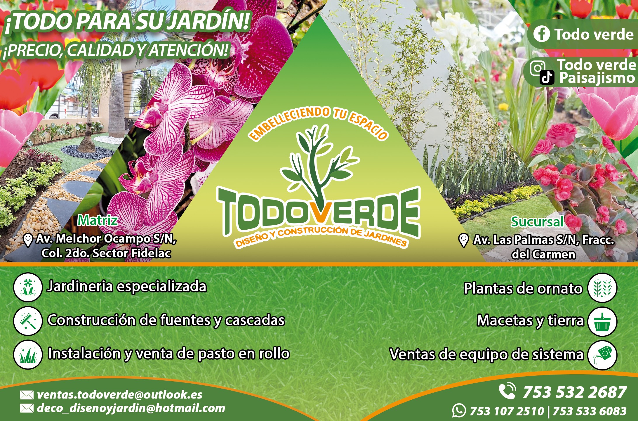 Imagen promocional de TODO VERDE